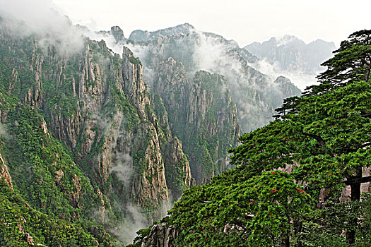 广州迷幻商城货到付款C1B8D97C5-18975